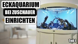 Ich richte ein 190 Liter Eckaquarium bei einem Zuschauer neu ein [upl. by Naihr]