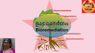 జైవికసవరణీకరణ  Bioremediation [upl. by Nauqyt981]