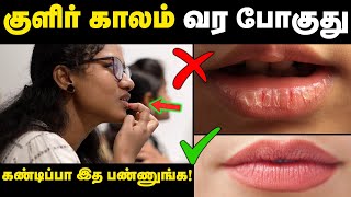 உதடு வெடிப்புகளை தவிர்ப்பது எப்படி  Using lip balm for dry lips is good or bad🤔 Dry lips solution [upl. by Wye]