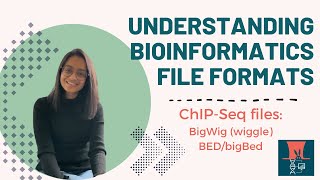 Understanding File Formats in Bioinformatics ChIPSeq files  BigWig Wiggle and BEDbigBed [upl. by Ivar]