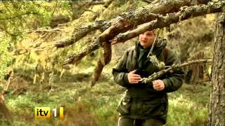 Wild Britain with Ray Mears Series 2  Official ITV trailer [upl. by Eeladnerb363]