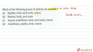 Which of the following groups of animals are uricotelic [upl. by Nairam846]