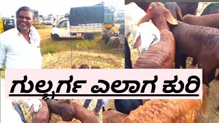 ಕೊನೆಯ ಕಂತು ಗಂಡಸಿ ಮರಿ ಸಂತೆ 28112024 AGRIANIMALS [upl. by Eidaj]