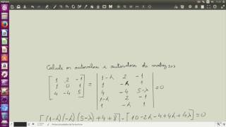 cálculo de autovalores e autovetores de uma matriz 3x3 [upl. by Alikam]