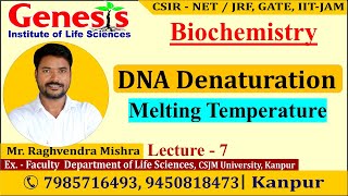 DNA Denaturation  Lecture7  New online quotBatchquot for CSIR NETJRF  IITJAM [upl. by Ycrep803]