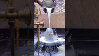 శివ అభిషేకం  Rudram Lord Shiva Abhishekam [upl. by Delphine712]