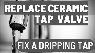 Replace Kitchen Tap Ceramic Valve and Fix your Dripping Tap [upl. by Dohsar642]