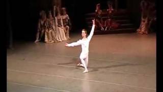 Leonid Sarafanov Siegfried variation Swan Lake [upl. by Sire577]