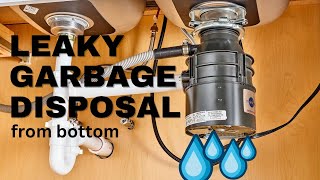 Leaking Garbage Disposal Quick Fix Trick Revealed Leaky Garbage Disposal From Bottom DIY Repair [upl. by Susette]