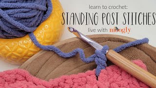 How to Crochet Standing Post Stitches [upl. by Laurentium]