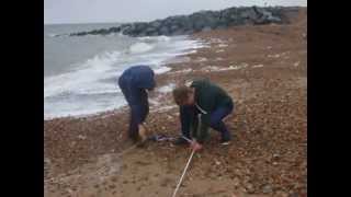 Reculver Longshore drift Measurements [upl. by Pitzer]