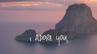 HUGEL x Topic x Arash feat Daecolm  I Adore You Visualizer [upl. by Orravan]