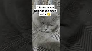 nolur abone olun [upl. by Tsui]