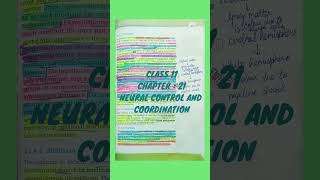 Class 11 Chapter 21 Neural Control and Coordination neetbiologynotes neetug neetpreparatorynotes [upl. by Eberly57]