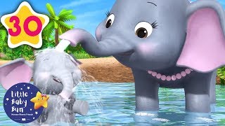 5 Elephants Having A Wash  30 Minutes of Nursery Rhymes  Learn With LBB  howto [upl. by Ttoille314]