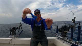 DUBRO Fishing Release Clip On Jet Diver [upl. by Melisse]