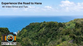 Experience the Road to Hana [upl. by Elimac]