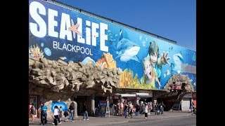 Sea Life Centre Blackpool  June 2017 [upl. by Eraste102]