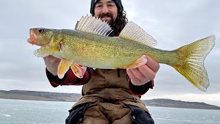 Diefenbaker Walleyes Ice Fishing CHEAP Glide Baits [upl. by Nnahgem]