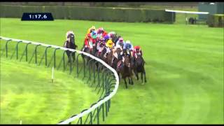 Qatar Prix de lArc de Triomphe 2013  Trêve [upl. by Eidnak]