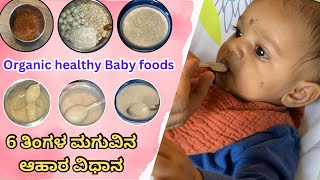 6 ತಿಂಗಳ ಮಗುವಿನ ಆಹಾರ  organic healthy baby foods  Kannada vlogs [upl. by Yslek]