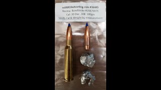 Norma BONDSTRIKE 180gr 30cal gel test 308 3006 300 PRC [upl. by Anazraf969]