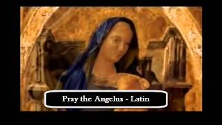 Pray the Angelus Latin [upl. by Aurthur]