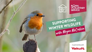 Supporting Winter Wildlife with Megan McCubbin🐦 [upl. by Sheree475]