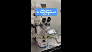 Confocal Microscopy Pt 2 🔬 shorts Terasaki Institute [upl. by Lenni]