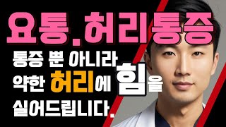 요통허리통증 추간판 탈출증 척추관 협착증 퇴행성 디스크 골다공증 허리 근육 긴장 및 염좌의 통증과 약한 허리에 강력한 힘으로 재발을 방지합니다 [upl. by Lasley]