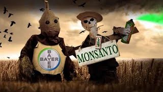 DW DOCUMENTALES La semilla del MAL Bayer y Monsanto [upl. by Wake267]