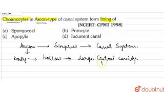 Choanocytes in Ascontype of canal system form lining of [upl. by Charis]