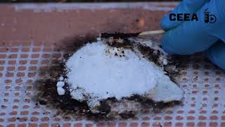 SUGAR OXIDATION WITH POTASSIUM NITRATE ROCKET PROPELLANT [upl. by Lucille379]