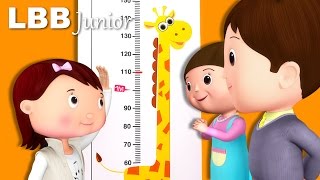 Measuring Your Height Song  How Tall Are You  Original Songs  By LBB Junior [upl. by Kowalski415]