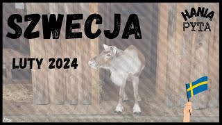 Znowu pojechaliśmy do Szwecji  Sztokholm 2024  travel vlog [upl. by Esten]