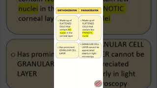 Orthokeratin Vs Parakeratin dental dentistry dentaleducation neetmdspreparation youtubeshorts [upl. by Poulter]