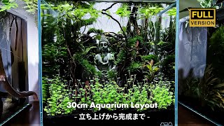 30cm水槽森の奥へ立ち上げから完成までaquascapeaquarium30cm tankvlog [upl. by Esojnauj]