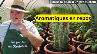 Mon tunnel des aromatiques semaine 45 [upl. by Canute]