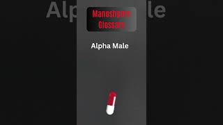 Decoding the Manosphere Unveiling Red Pill Terms for Beginners 🔍 alphamale [upl. by Yekciv507]