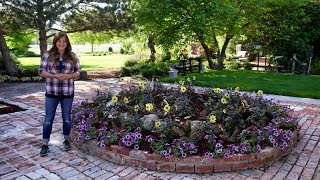 The Biggest Raised Bed Ive Ever Planted 🌿🌼💜 Garden Answer [upl. by Anatol855]