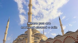 Wonder where you are halal beats slowed  reverb  rain 1 hour version [upl. by Runstadler287]