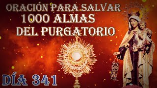 Salval 1000 Almas del Purgatorio día 341 [upl. by Crissy]