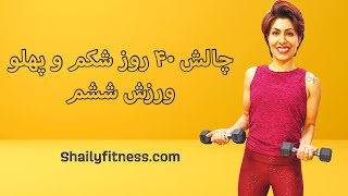 40day Abs Challenge 6 ورزش ششم چالش شکم حرکات ایستاده شکم با دمبل ساختن عضلات قوی شکم با وزنه [upl. by Wurst217]