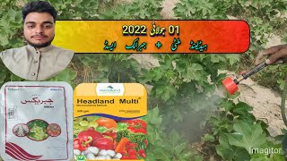 16 Headland Multi And Gibberellic Acid  Micronutrients And Plant Growth Regulator Spray  55 Days [upl. by Novej557]