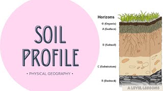 The BEST Soil Profile explanation video  A Level Geography 2024 [upl. by Lucine]