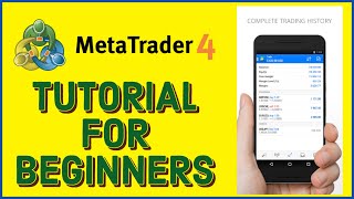 MetaTrader 4 Tutorials How to Use MetaTrader 4 for Beginners 2023 Update [upl. by Elleret758]