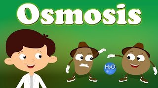 Osmosis  aumsum kids science education children [upl. by Cattima137]