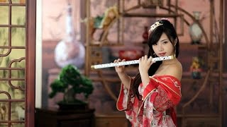 Beautiful Chinese music Instrument  Endlesslove 10 different songs [upl. by Zenger]