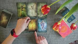 Tarot Byk Czerwiec 2024 roku Tarot Thelema [upl. by Emelina259]