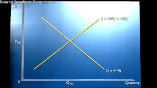 Externalities and Public Goods  Externalities in Consumption [upl. by Langill]